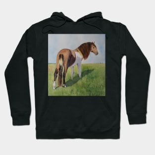 Wild Horse from Assateague Island Hoodie